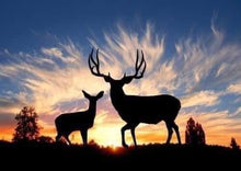 Load image into Gallery viewer, Animals Tumbler Prints 20 or 30 oz