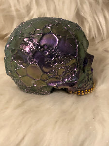 Dragon Scales skull “Connell”