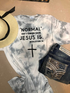Normal isn't coming back  Jesus is Revelation 14  t-shirt